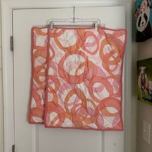 Pottery Barn Teen standard shams pair